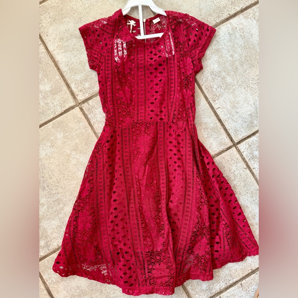 Charming Scarlet Lace Kids Dress
